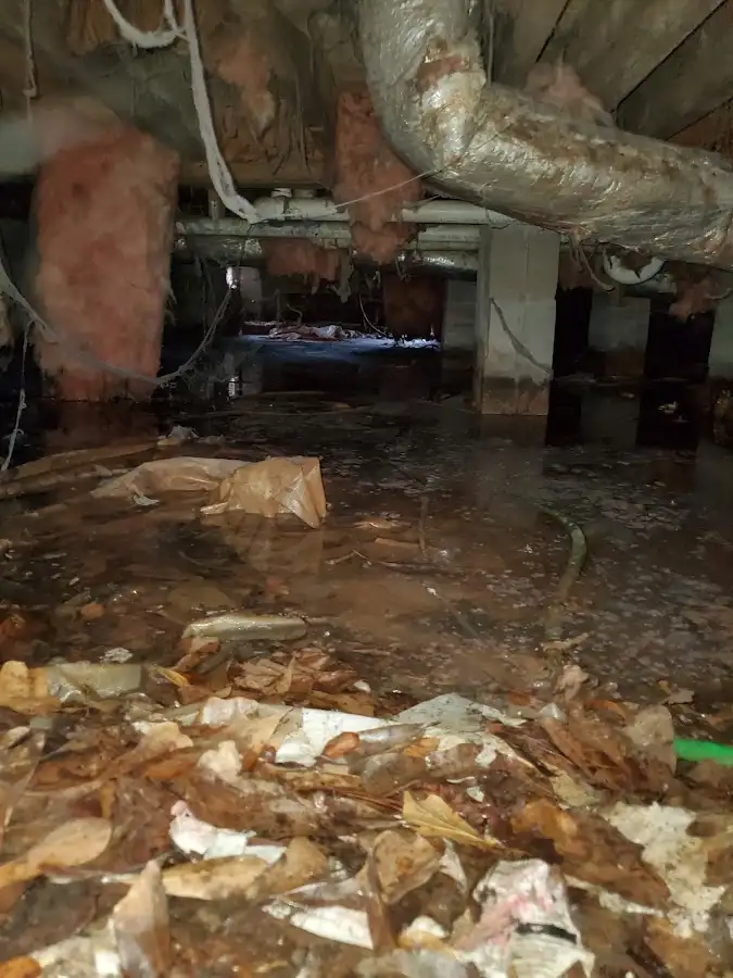 Crawl space flood assessment for Leak Detection & Repair in Rexburg
